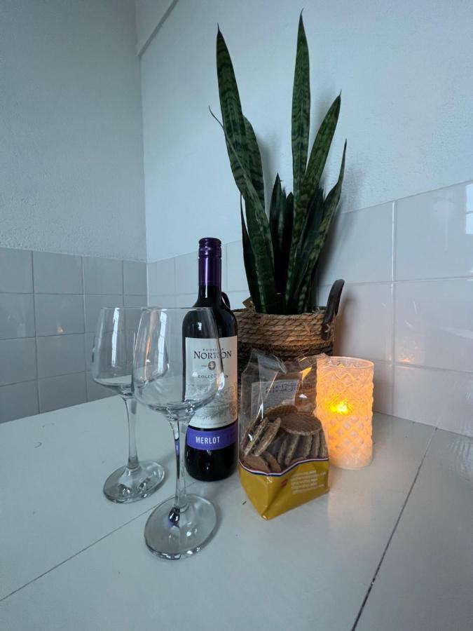Mel'S Apartment 2 Zandvoort Zewnętrze zdjęcie